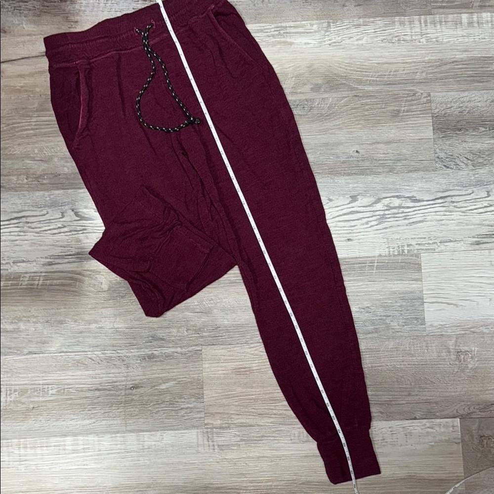 Sundry by Evereve Comfy Burgundy Jogger Pants - Picture 4 of 6